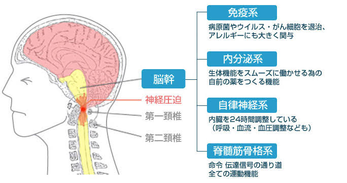 浜松首こり病治療整体