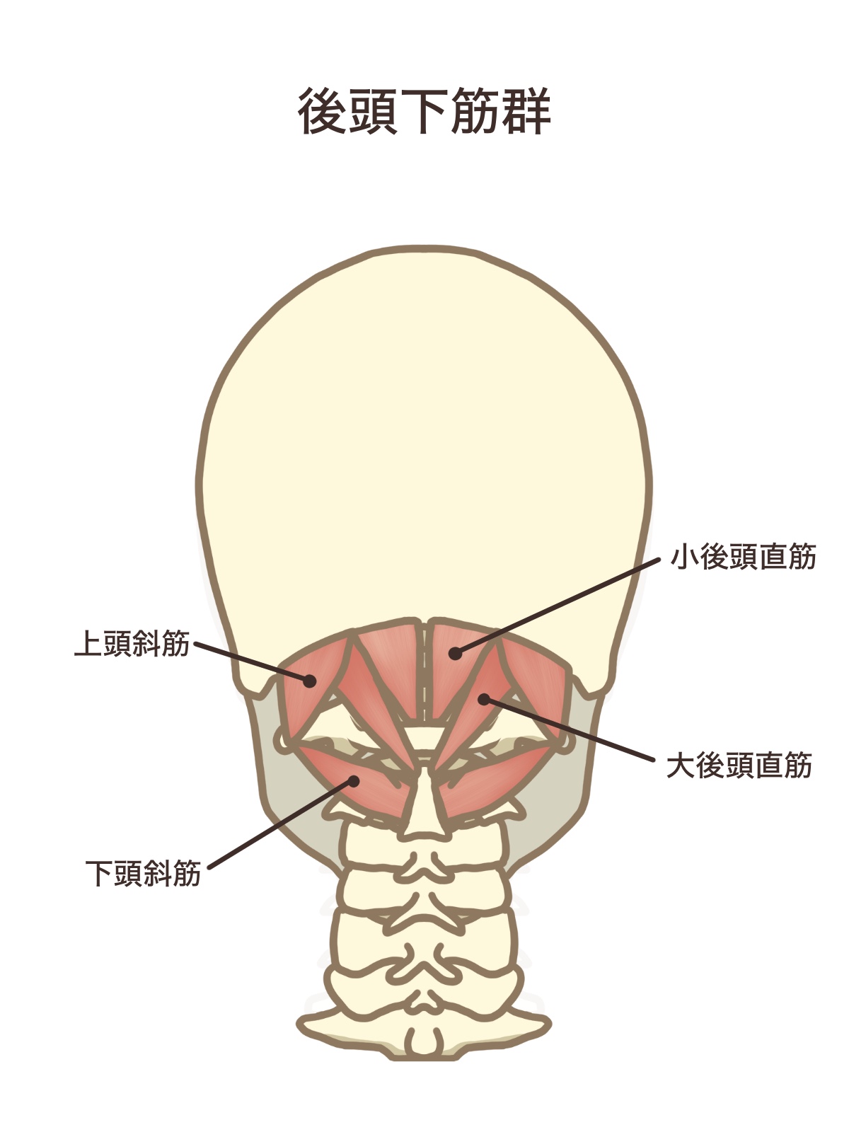 浜松整体首こり病