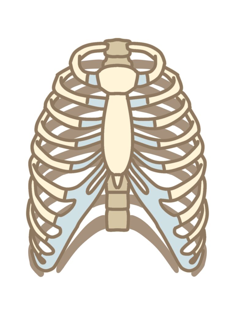 浜松整体胸郭リカバリー