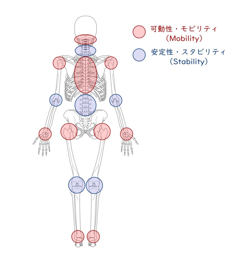 浜松整体ジョイントバイジョイント